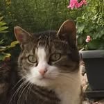 Doris Walther - @walther8881 - Instagram