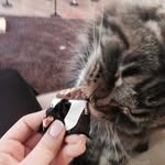 Doris Walton - @doriswalton888 - Instagram