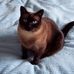 Doris Warner - Facebook