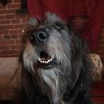 Doris Waters - @waters388 - Instagram
