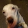 Doris Waters - @doris.waters - TikTok