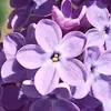 dorislweldon61305 - @dorislweldon61305 - TikTok