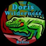 Doris Wilderness - @doriswilderness - Instagram