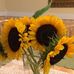 Doris Winn Bornkessel - Facebook