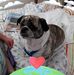 Doris Wiseman - Facebook