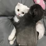Doris —Woo - @woo8419 - Instagram