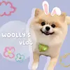 Doris  Woo - @doris.woo - TikTok