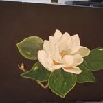 Doris G. Workman - @dorisg.w - Instagram