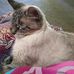 Doris Hall Wyrick - Facebook