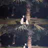 DorIs Yang - @user44836330 - TikTok