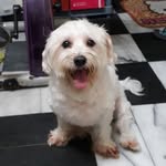 Doris Yen - @yen.doris.2727 - Instagram