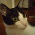 Doris Yip - Facebook