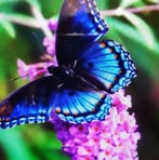Doris Zbinden - Facebook