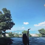doris zhu - @zhudordor - Instagram