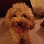 Doris Zhu - @dododo_risz - Instagram