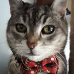 Doris Zink-Sedlak - @zinksedlak - Instagram