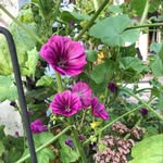 Doris Zinkl - @zinkldoris - Instagram
