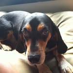 @doriszinke - Instagram