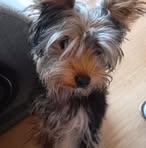 Dorota Maciąg - Facebook