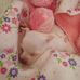 Dorothy Bailey - Facebook