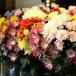 Dorothy Casey - @flowersbydorothytipperary - Instagram