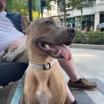 Dorothea Willow Clark-Gallo - @dorothea_clarkgallo - Instagram