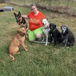 Dorothy Clark - @dorothyclark645 - Instagram