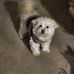Dorothy Combs - Facebook