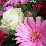Dorothy Craig - @dcrg60 - Instagram