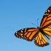 Dorothy Danner - Facebook