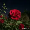 بحر الوفة - @dorethea.doherty - TikTok