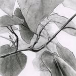 Dorothy Doherty - @dorothydohertyart - Instagram