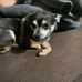 Dorothy Downs - Facebook