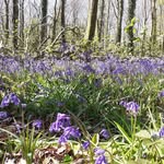 Dorothy Francis Doyle - @dorothydoyle18 - Instagram