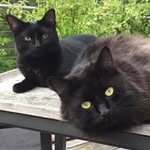 Dorothea Eiben - @dorotheaeiben - Instagram