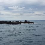 Dorothy Evans - @dorothy3008evans - Instagram