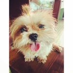 Dorothea fox - @dorothea_fox53 - Instagram