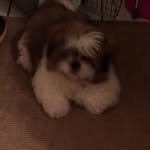 Dorothy Cuthbert - @cuthbert.dorothy - Instagram