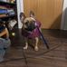 Dot Culbert - Facebook