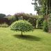 Dot Cuthbert - Facebook