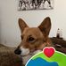 Dorothy Dabney - Facebook