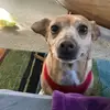 Dorothy 🐕 - @dorothy_darling_ - TikTok