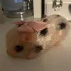❤️dorothy darling❤️ - @dorothy.darling - TikTok