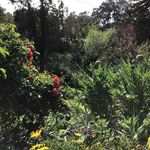 Dorothy Darling - @seniorlady73 - Instagram