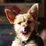 Dorothy Darling Diva - @dorothydarlingdiva - Instagram