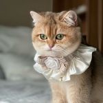 My_Darling_Dorothy - @my_darling_dorothy - Instagram