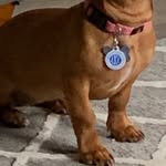 Dorothy Daugherty - @lilli81541 - Instagram