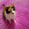 dorothydavidson55 - @dorothydavidson55 - TikTok