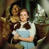 Dorothy dear - @dorothydaceydear - TikTok