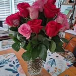 Dorothy DeBoard - @deboard549 - Instagram